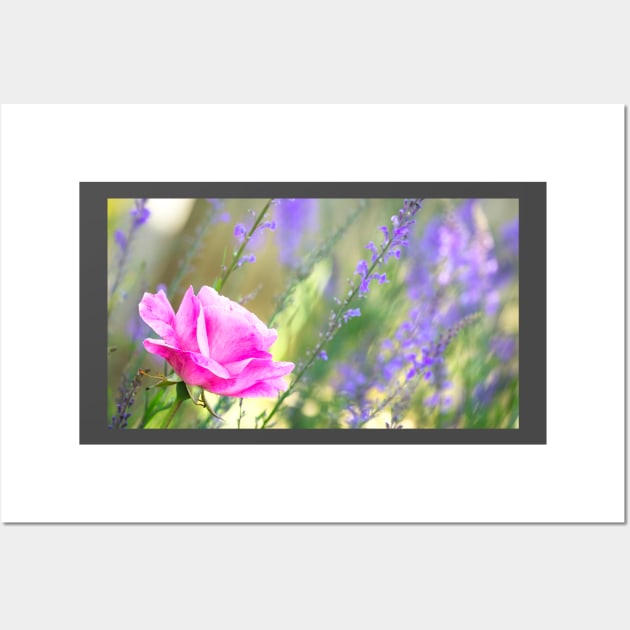 Summer Garden Wall Art by GeoffCarpenter